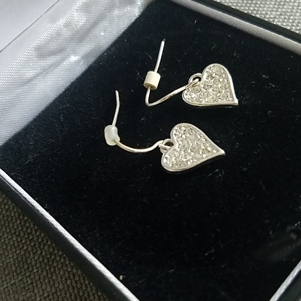 Pretty Heart Earrings
